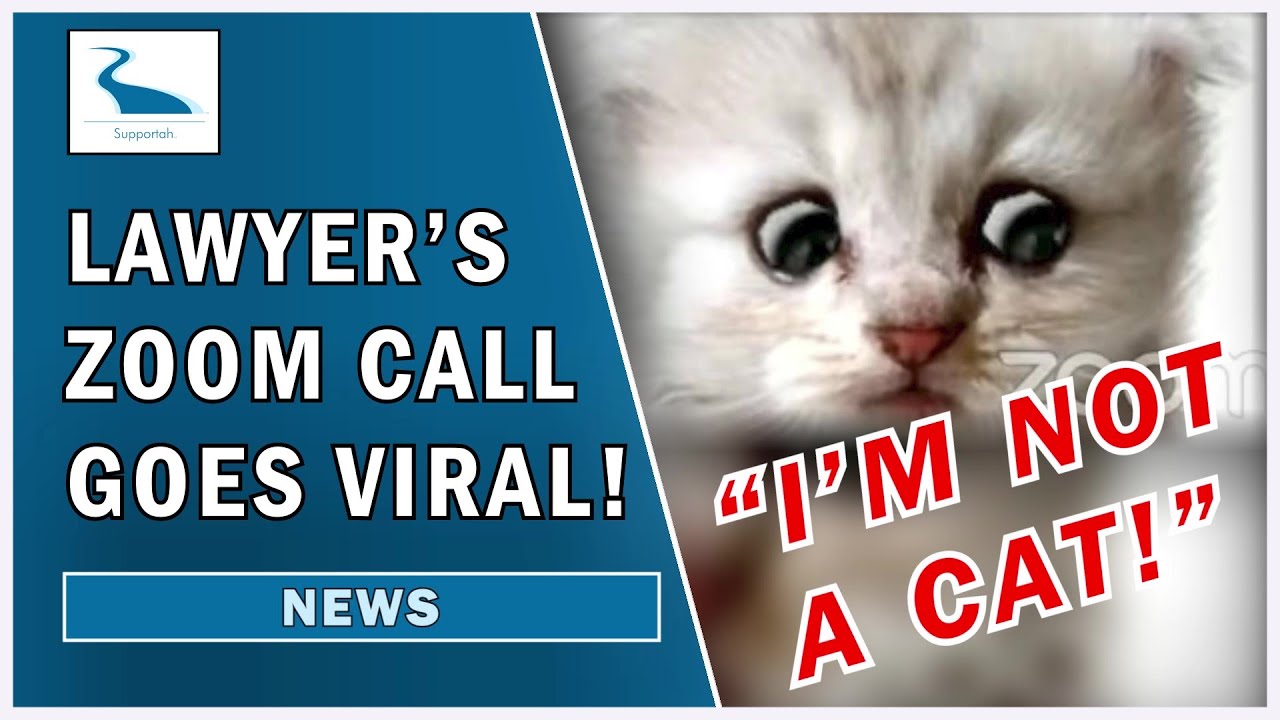 I Am Not A Cat Lawyer Goes Viral Supportah Tv Zoom Cat Lawyer Know Your Meme