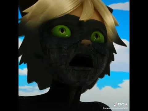 فيو حزين الدعسوقة الشريرة تهزم القط الاسود