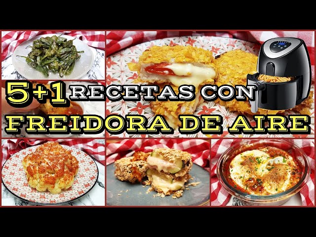 Recetas con freidora con aceite - MGI