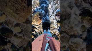 Sometimes you have to work hard and make real effort to create your happiness ❤️ #shorts #shortsfeed