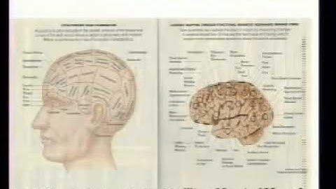 Psych 1 General Psychology- Lecture 4.flv