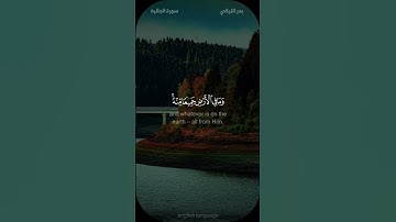 الله الذي سخر لكم البحر لتجري الفلك فيه بأمره - #بدر_التركي - #سورة_الجاثية #حالة_واتس