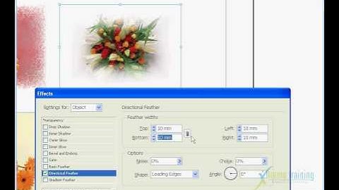 Adobe Indesign CS4 (TAMIL) FORMATING OBJECTS==Feather-004.flv