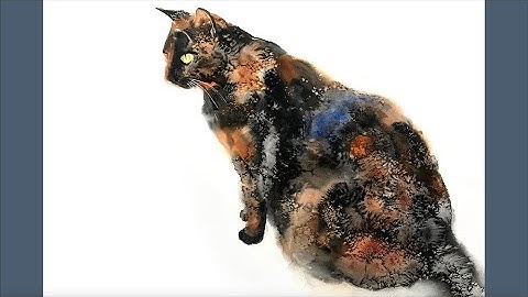 My latest Skillshare tutorial - painting tortoiseshell cat fur with kitchen salt