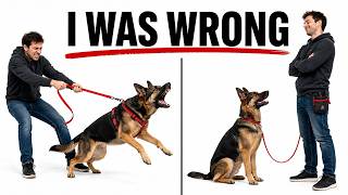 Reactive Dogs Aren’t What Most People Think