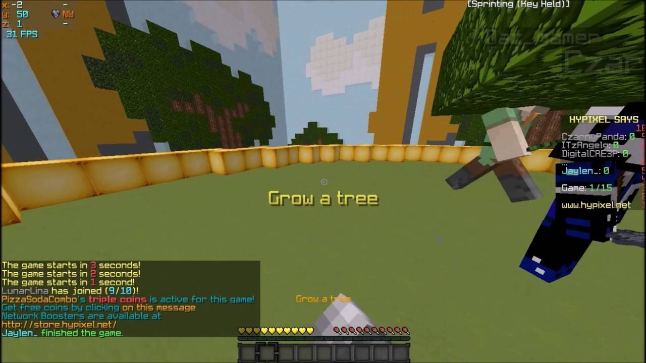 Hypixel Says : Summertime Plans