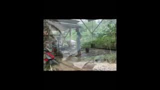 Potensi di desa Labuhan Makmur, Kec. Way Serdang, Kab. Mesuji. Prov. Lampung #uinradenintanlampung