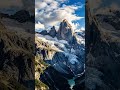 Wild Animals in Stunning 8K HDR | Ultra HD Nature Documentary|Scenic Relaxation Film #shorts