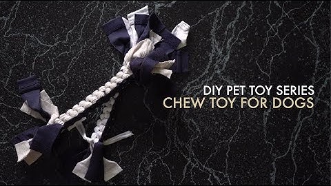 Chew Toy For Dogs | DIY Pet Toy Series