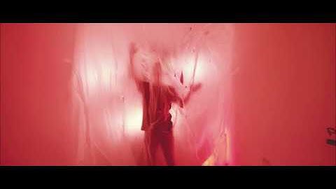Through the Disaster - Pneumothorax (Official Music Video)