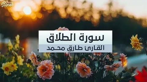 القارئ طارق محمد يبدع من جديد II سورة الطلاق كاملة