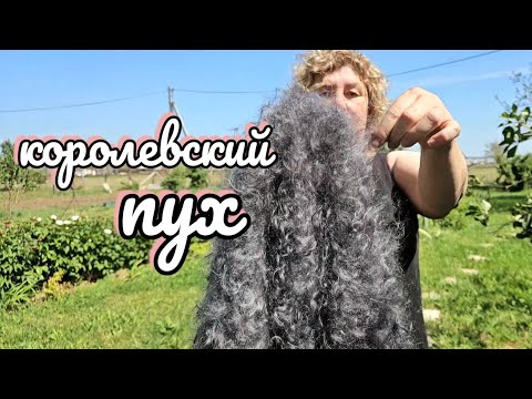 пуховая шаль месяца-самые лучшие платки и шали 89608709467