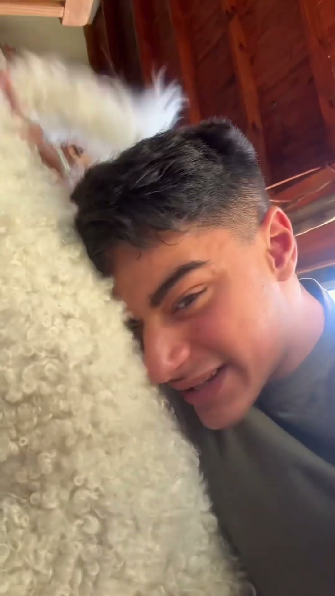 MI PERRO ES MUY CELOSO??