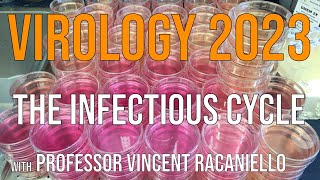 Virology Lectures 2023 #2: The Infectious Cycle