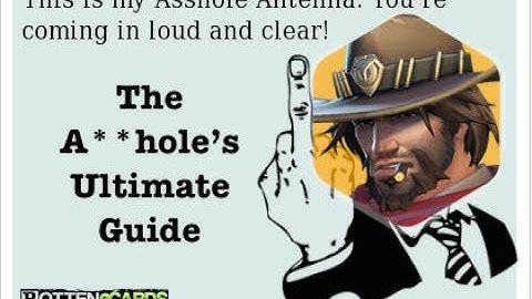 Overwatch - The A**hole