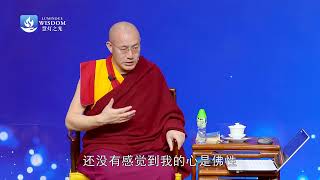 众生本来是佛,为什么还有无明? | 堪钦慈诚罗珠仁波切