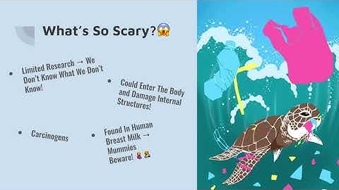 NXplorers 2020 Finalist - C2H4 Filter Feeder, Nanyang Girls’ High School