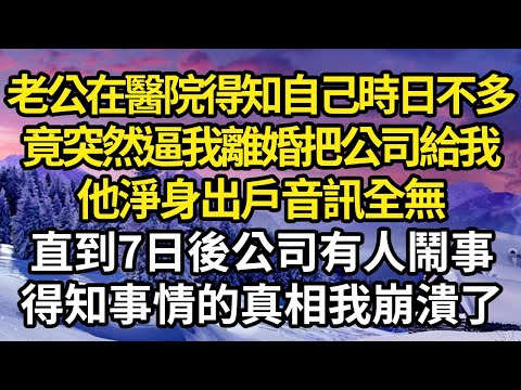 老公在醫院得知自己時日不多，竟突然逼我離婚要把公司給我，他淨身出戶音訊全無，直到7日後公司有人鬧事，得知事情的真相我崩潰了 #故事#情感#情感故事#人生#人生經驗#人生故事#生活哲學#為人哲學