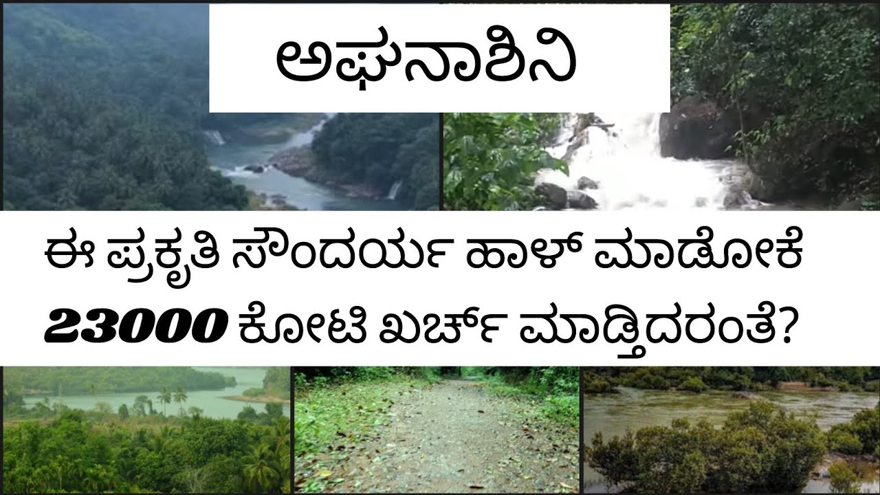 🌍ಉತ್ತರ ಕನ್ನಡ ಜಿಲ್ಲೆಯ ಅಘನಾಶಿನಿ ನದಿ ಮತ್ತು ಅರಣ್ಯ ಪ್ರದೇಶ ಉಳಿಸೋಣ | save aghanaashini river 