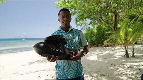 Vapor Jet Scooters   Latest Ocean Play Obsession at VOMO