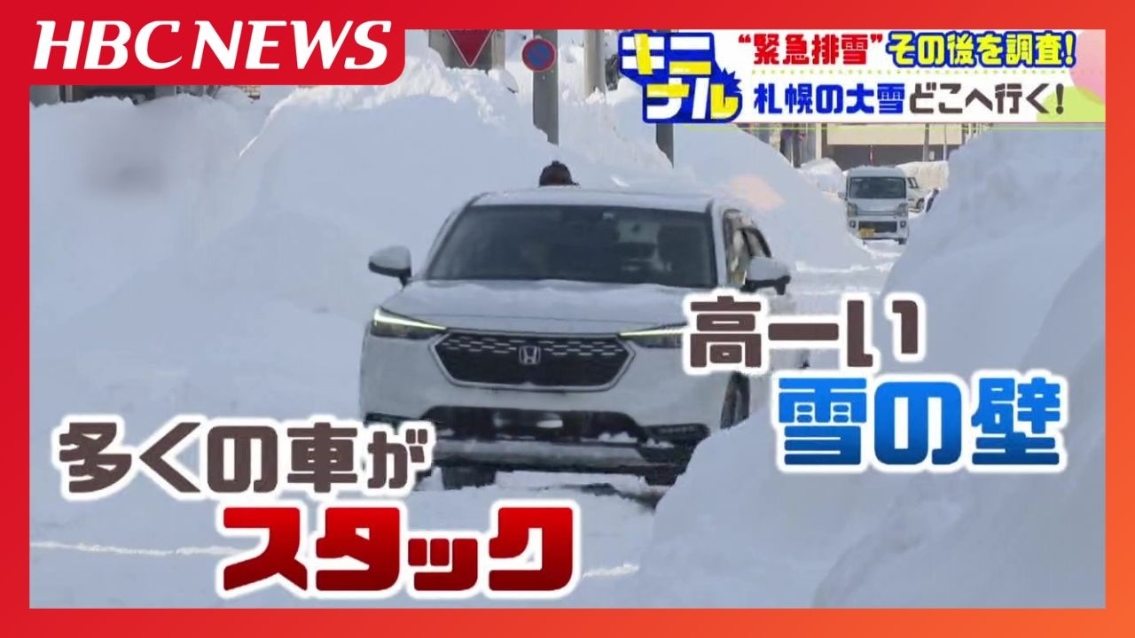 札幌に降った雪はどこへ？…札幌ドーム12杯分が堆積場に　高さ30m積み上げ、この後は重機でかきまぜてとかす作業へ