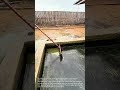 Satisfying Duck Pond Cleaning: Deep Cleaning Algae-Covered Farm Pond