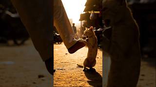 Spread love even you don't receive ❤️ #ai #aivideo #trendingshorts #viralvideos #shorts