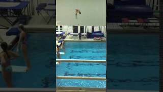 IMG 4354 MOV