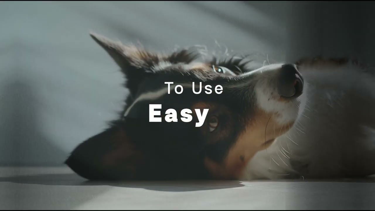 Window Shadows Pro: 4K Lighting Overlays for Resolve