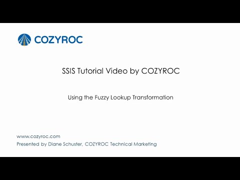 Using the Fuzzy Lookup Transformation 📑 - SSIS tutorials for Beginners by COZYROC