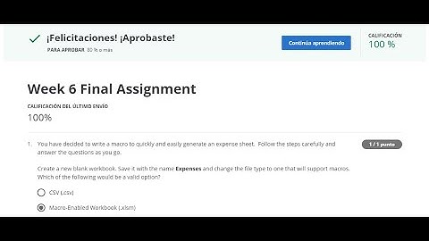 Excel Skills for Business: Intermediate 2 ll Week 6 Final Assignment 100% ll Coursera
