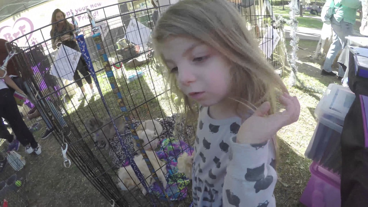 Irvine Animal Care Center 10th Annual Home for the Holidays Pet ...