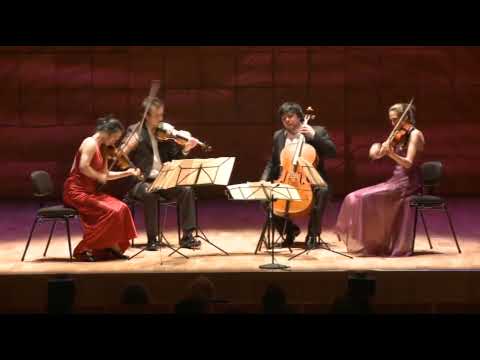 Schubert - Death and the Maiden - Hamer Quartet - ...