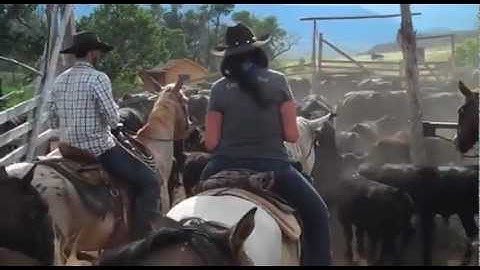 La vie de cowboy la vraie ! Séjour en ranch de travail au Montana avec Cheval d'Aventure