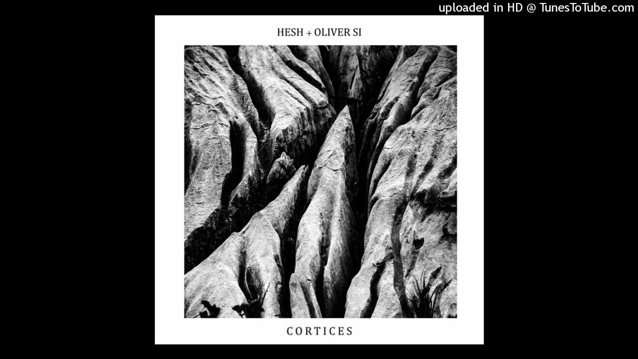 Guarda Hesh + Oliver Si - Cognitive Flexibility su YouTube Guarda Hesh + Oliver Si - Cognitive Flexibility su YouTube