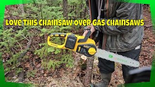 Love This Cordless ChainsawTons of Power & Uses Dewalt Batteries!