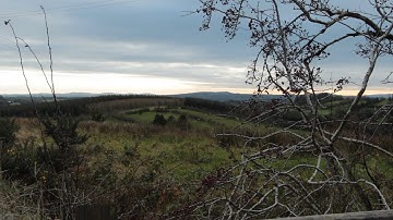 Waterloo Golden Way, Clifferna