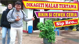 SENANGNYA KAGET RAMAI-RAMAI | BUSHMAN PRANK | PRANK MANUSIA POHON