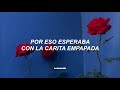 Video de Las Rosas