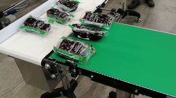 Checkweigher with Spacing System - Red Beets