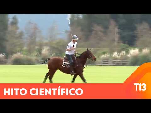 The story of the first cloned mare in our country
