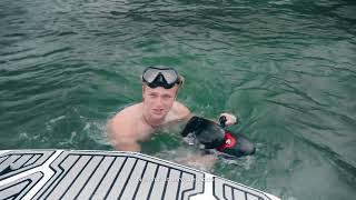 SEABOB F5 vs SUBLUE VAPOR FULL VERSION