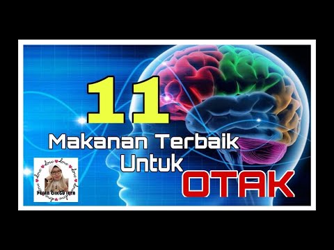 11 MAKANAN TERBAIK UNTUK OTAK