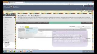 Blackboard Learn 9.1: Accessing the Grade Center