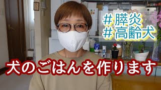 【犬のごはん作ります膵炎高齢犬】我が家のワンのごはんです。概要欄も見てくださったら嬉しいです　膵炎/高齢犬/老犬/シニア犬/手作り食/シーズー