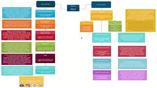 Internal/External Publics - Google Slides
