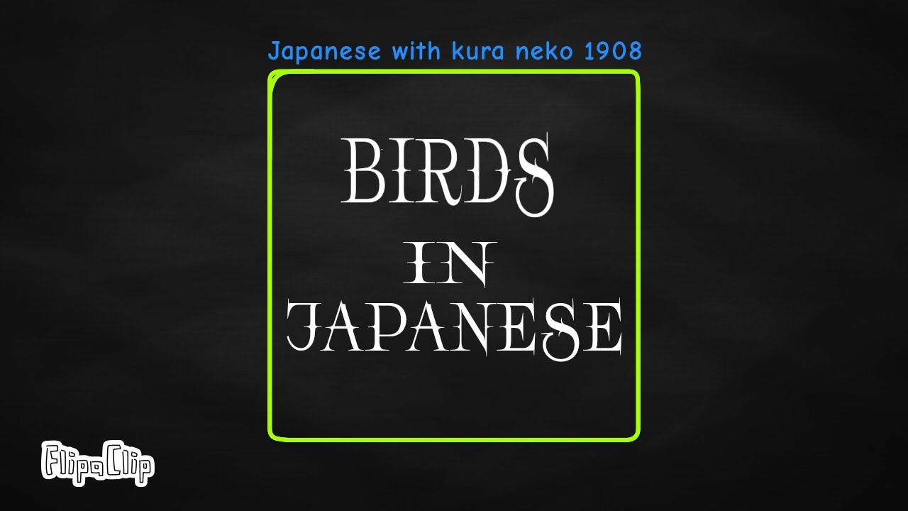 From Eagle to Crow: 10 Bird Names in Japanese in 30 Seconds!