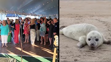 Seacoast Science Center