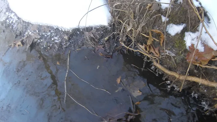 How to make a quick blind Mink set.