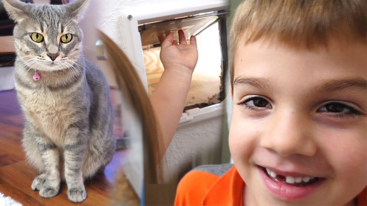 Family Builds a Hidden Cat Litter Box Inside Wall With Secret Door